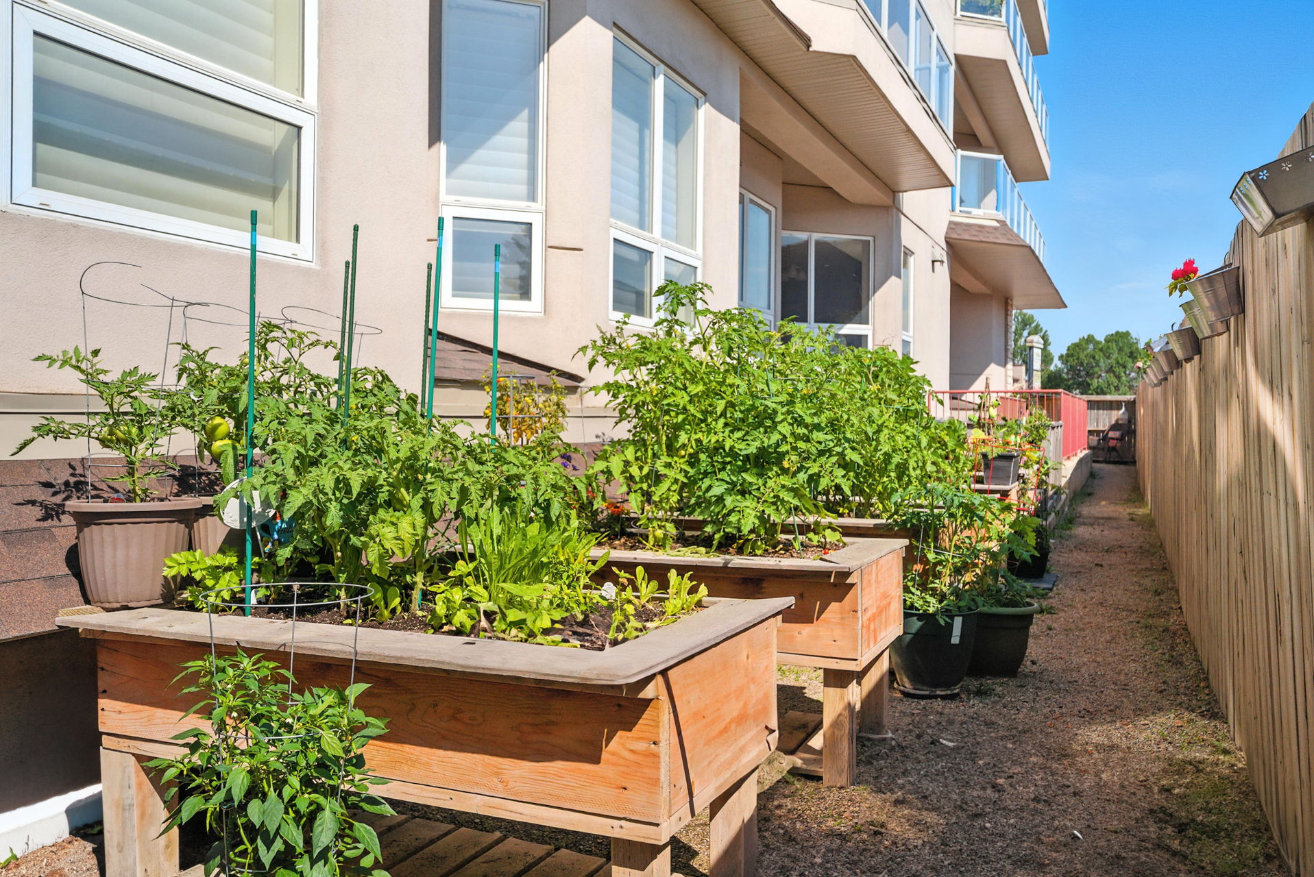 105 – 227 Pinehouse Drive community garden outdoor green space